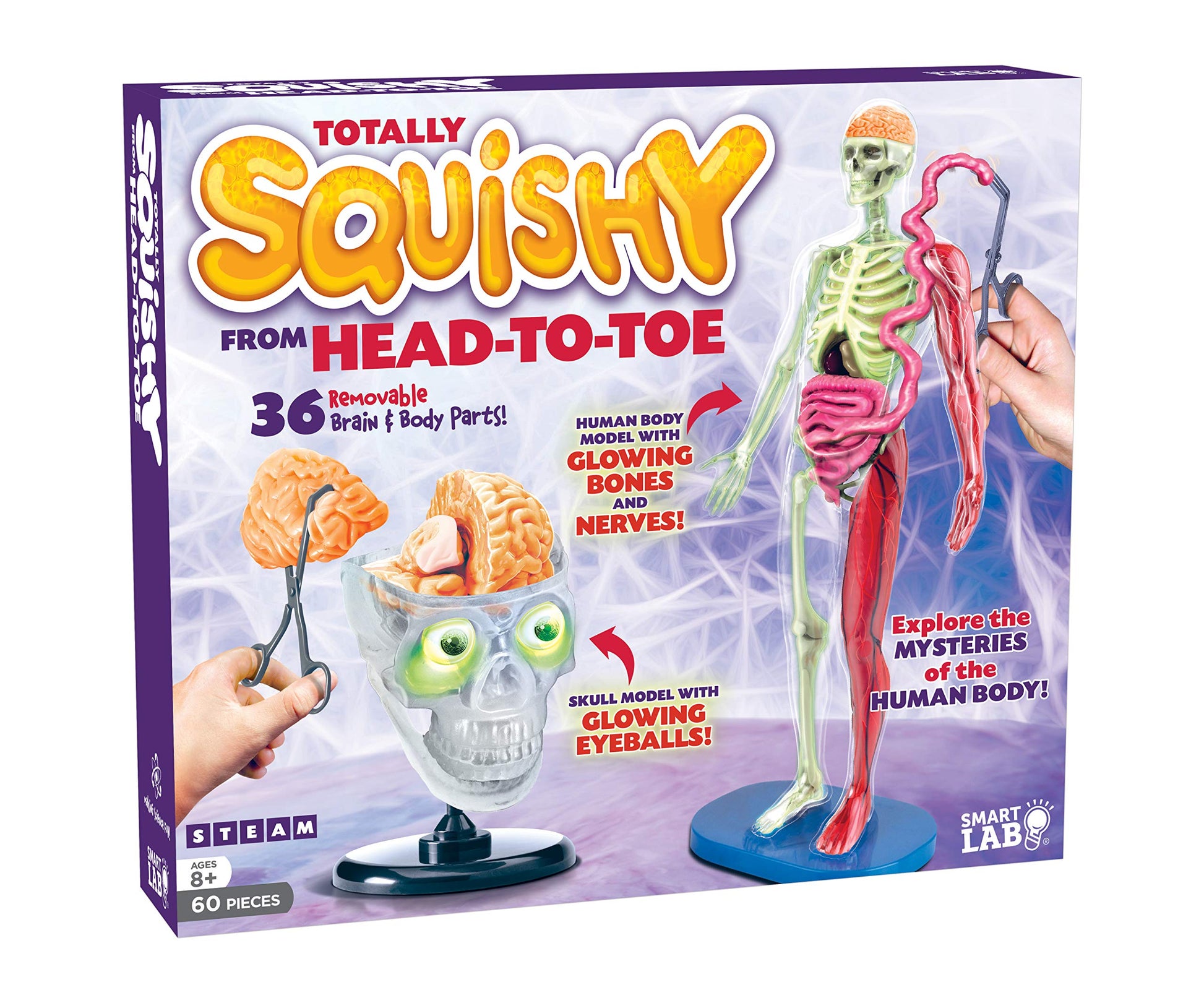 Smartlab Toys Totally Squishy From Head-To-Toe - 60 Pieces - 36 Removable Parts - 12'' Human Body Model & Stand - 24-Page Illust