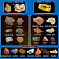 Pibex Volcano & Ocean Fossil Dig Kit, Dig Up 20+ Real Fossils, Rocks, Shells & Sea Snails With Eruption Experiments, Earth Scien