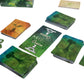 Weird City Games: Canopy, Card Game, Fast And Fun Gameplay, Features 25 Unique Species Of Rainforest Animals And Plants, Solo Or Multiplayer Option, For Ages 8 And Up
