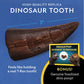 Prehistoric Paleontologist Mining