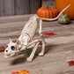 Crazy Bonez Skeleton Cat - Lil' Kitty Bonez, Plastic, Bone Color, Model Z28043