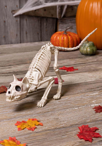 Crazy Bonez Skeleton Cat - Lil' Kitty Bonez, Plastic, Bone Color, Model Z28043