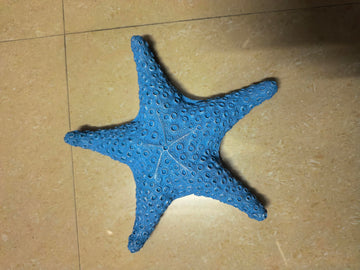 VVGIFTS Blue Ocean Beach Decoration Starfish Resin Wall Hanging Decoration (SkyBlue)