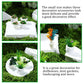 12Pcs Miniature Dollhouse Plants, Mini Potted Plant, Artificial Plastic Plants, Miniature Dollhouse Accessories, Mini Resin Plan