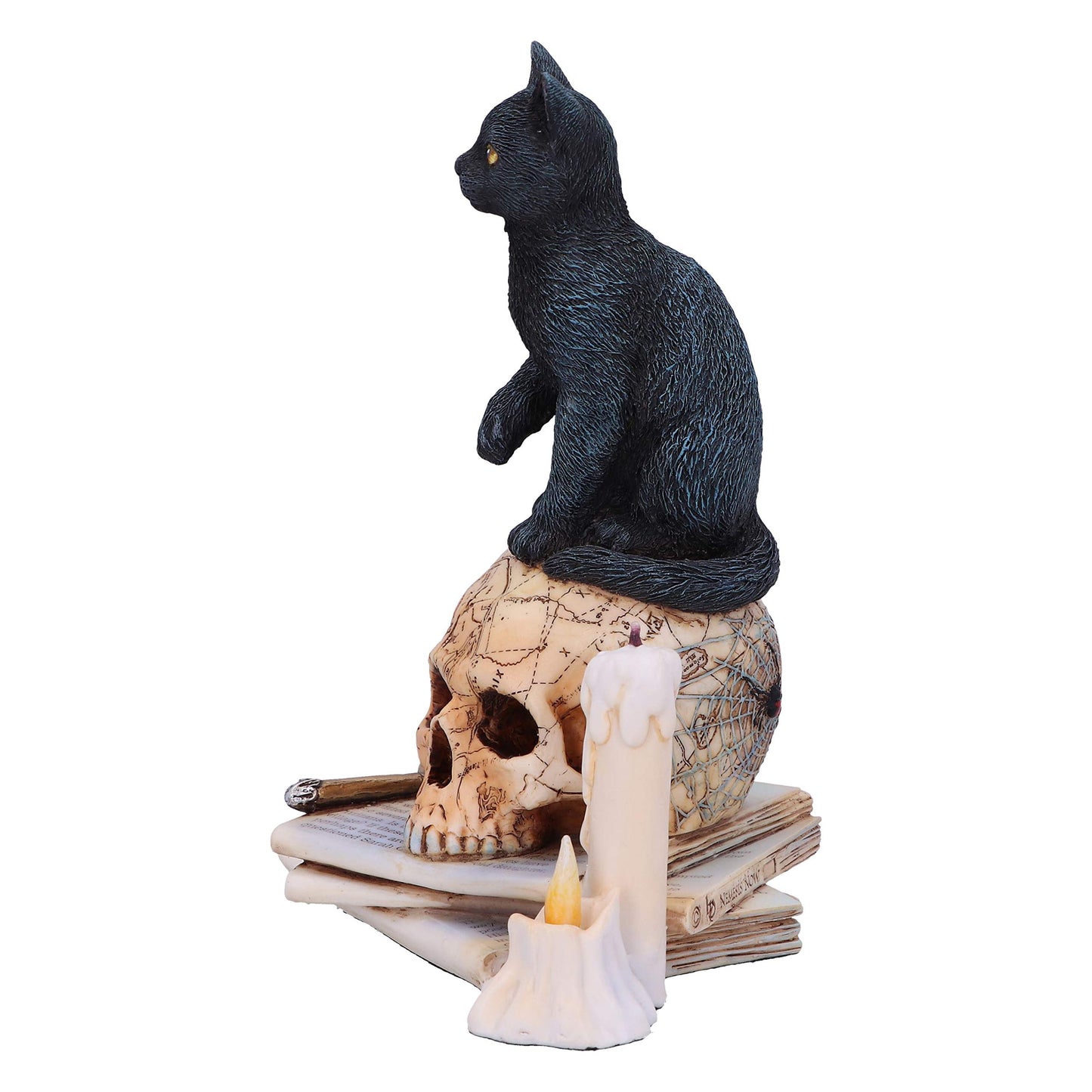 Nemesis Now Lisa Parker Spirits Of Salem Figurine 16.5Cm, Resin, Lisa Parker Figurine, Spirits Of Salem Artwork, Salem Witch Trials Gothic Ornament, Cast In The Finest Resin, Expertly Hand-Painted