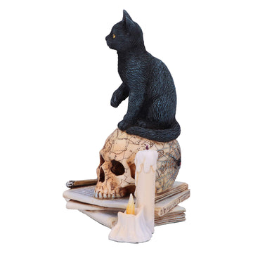 Nemesis Now Lisa Parker Spirits Of Salem Figurine 16.5Cm, Resin, Lisa Parker Figurine, Spirits Of Salem Artwork, Salem Witch Trials Gothic Ornament, Cast In The Finest Resin, Expertly Hand-Painted