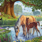 The Fell Ponies By Steve Crisp