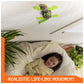 Hex Bots Wall Crawler Gecko, Rechargeable Remote Control Robot Kids Toys, Climbs Up Walls For Prank Toys & Games, Rc Robot Toys