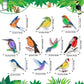 PerKoop 10 Pcs Bird Party Decorations Tropical Bird Honeycomb Paper Cutouts Jungle Rainforest Theme Hanging Parrot Bird Birthday