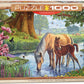 The Fell Ponies By Steve Crisp