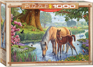 The Fell Ponies By Steve Crisp