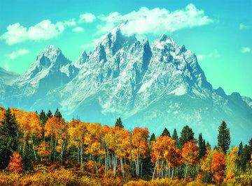 Clementoni 35034.6 - Collection Grand Teton In Fall, 500 Pieces