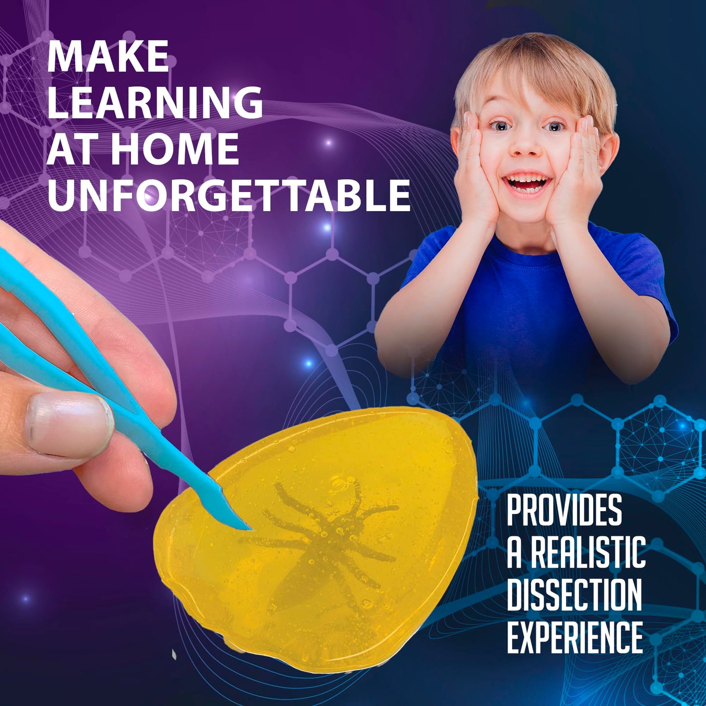 Top Secret Toys Discover-It Dissection Kit For Kids, Synthetic Amber Science Lab Kit To Learn About Insects, Science Toys For Ki