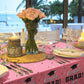 Gatherfun Graduation Tablecloths Graduation Party 2024 Table Decorations Waterproof Plastic Rectangular Disposable Table Cover F