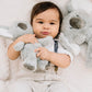 GUND Shay Koala Bear Plush Stuffed Animal, Gray and White, 12", Soft Plush Material