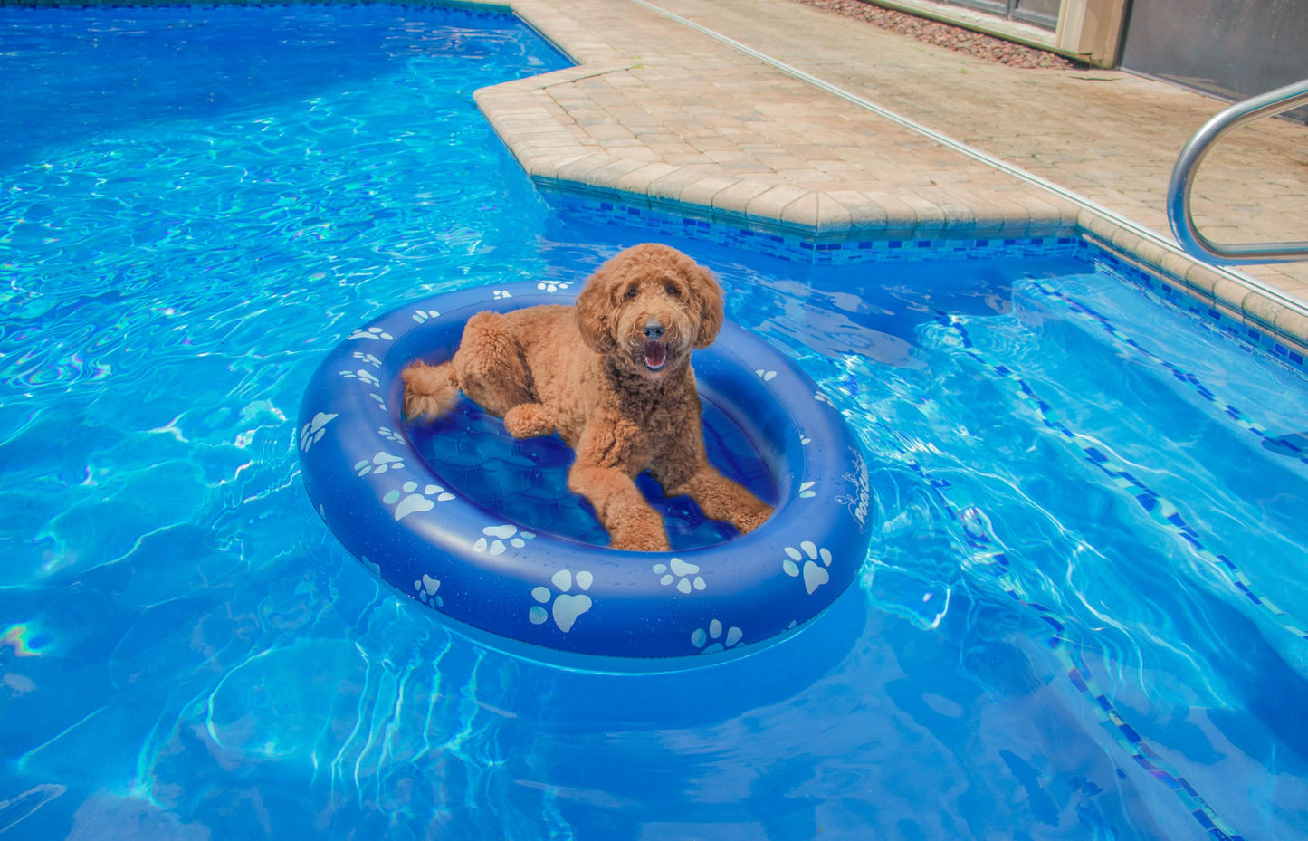 Poolcandy Inflatable Pet Float - Easy Set Up Doggy Pool Floats (Up-To 100Lb Paw Large)