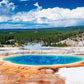 Beduke Jigsaw Puzzles For Adults 1000 Piece - Every Piece Is Unique - Yellowstone National Park Thick Sturdy Cardboard Precise Interlocking Family Game Puzzle Age 14+