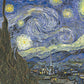 Starry Night - 2000 Pieces
