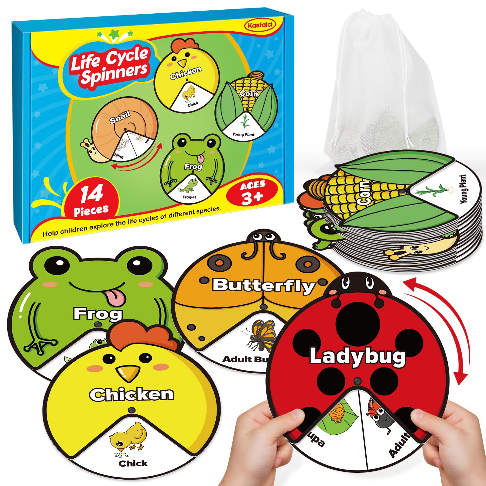 Kasfalci Life Cycle Toys For Kids,Animal Plant Insect Bug Ladybug Butterfly Tadpole To Frog Kit,Montessori Learning & Education