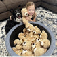 Maogolan Bulk Teddy Bear Baby Shower, 10 Packs Small Teddy Bear Stuffed Animals In Bulk,13.5' Small Stuffed Bears Plush For Wedding,Birthday,Christmas, Party Decorations