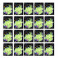 Birthday Popper Birthday Return Gift For Kids Glow Stickers, 20 Pcs