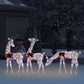 Vidaxl Christmas Reindeer Family 106.3'X2.8'X35.4' Gold Warm White Mesh
