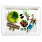 Jungle and Safari Animals Playdough Kit