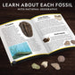 Young Paleontologists Mine