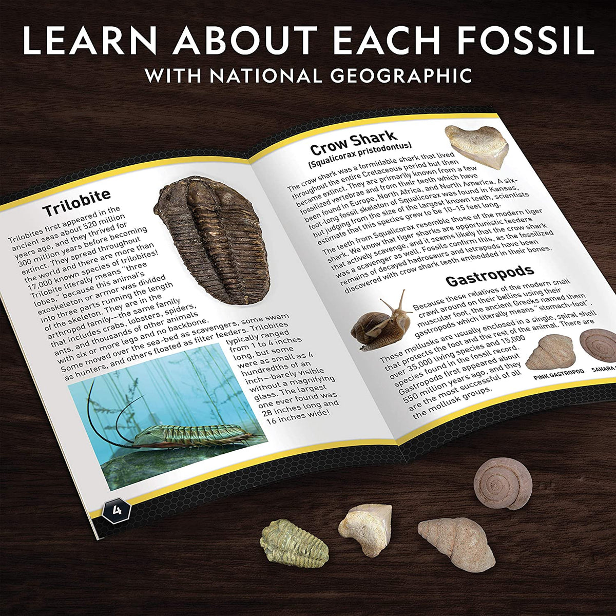 Young Paleontologists Mine