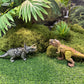 Eku Easyku Dinosaur Toys Tyrannosaurus Triceratops Quetzalcoatlus With Chomp Action, Movable Head Attack Motion, Wing Flapping A