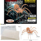 Puzzled 3D Puzzle Black Widow Spider Wood Craft Construction Model Kit, Fun & Educational Diy Wooden Toy Assemble Model Unfinished Crafting Hobby Puzzle To Build & Paint For Decoration 27 Pieces Pack