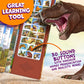 Hemalleon Dinosaur Toys for Kids - 30 Species Facts & Sounds - Ideal for Ages 2-7 - Red