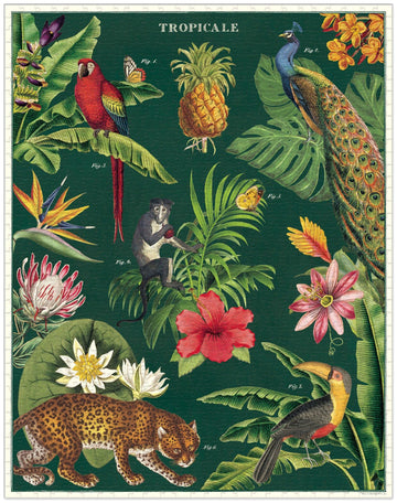 Cavallini 1000 Piece Puzzle, Tropicale - Multi Color Paperboard Jigsaw