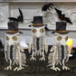 Dr.Dudu 3 Pack Halloween Skeleton Owl Decor, Life Size Animals Skeletons Plastic Skull Decorations Halloween Birds Figurines Dec