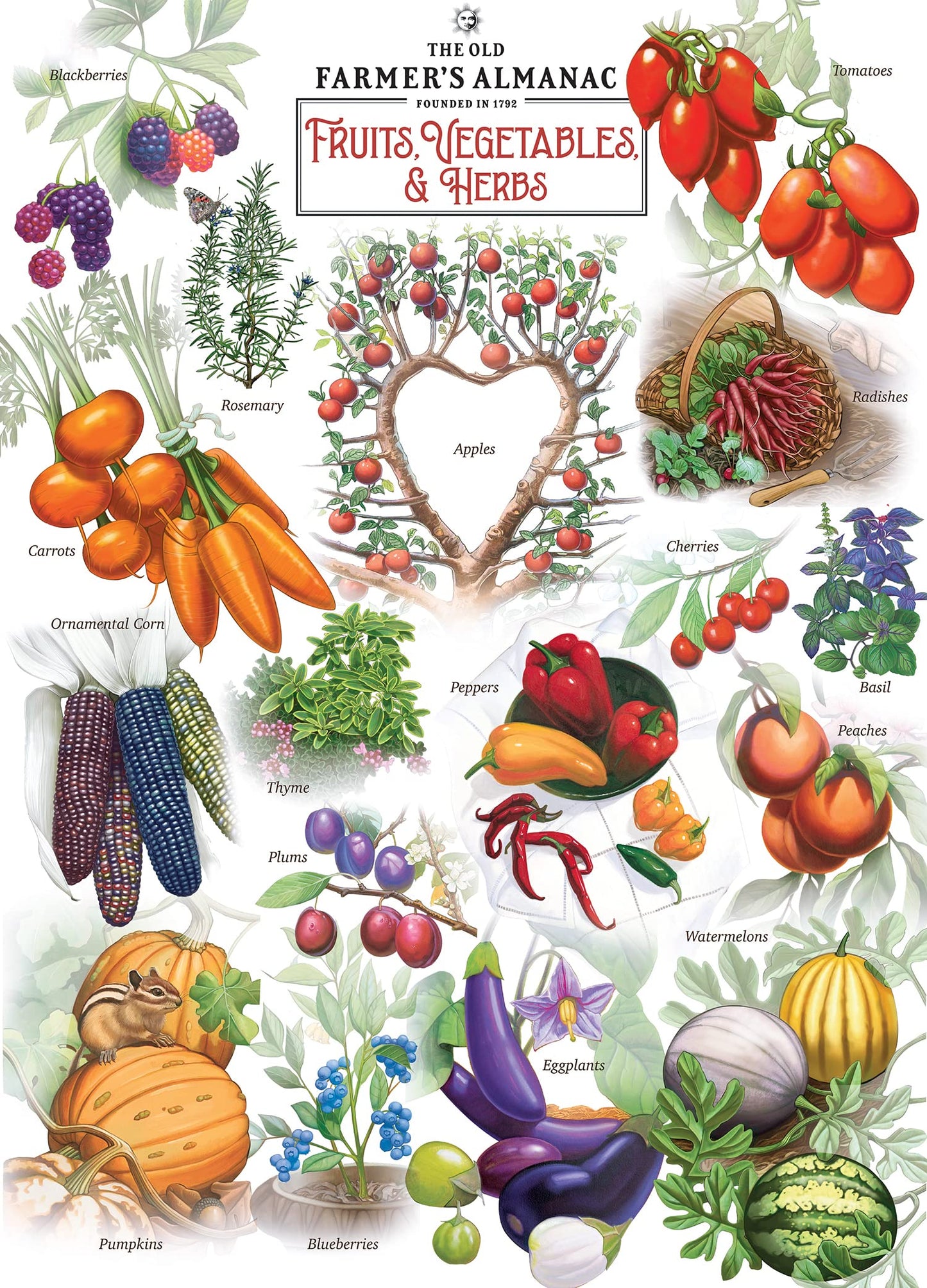Fruits Vegetables & Berries 1000 Pc