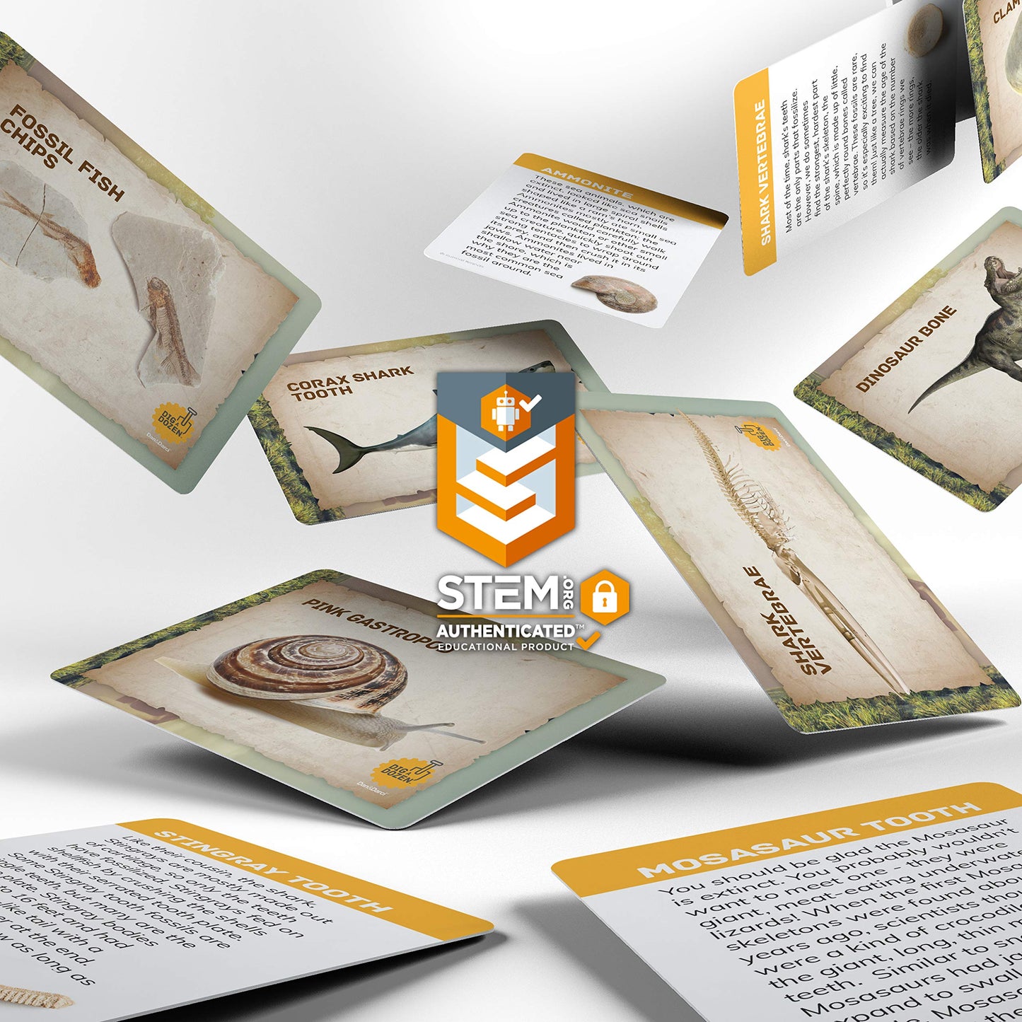 Dig A Dozen Fossil Bricks - Break Open 12 Blocks And Discover 12 Unique Real Fossils - Easter Basket Stuffers Archaeology Science Stem - Easter Gift