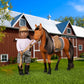 Lori - Chanda & Cinnamon - Mini Doll & Toy Horse Set - Small 6-Inch Doll & Morgan Horse - Play Set with Clothes, Animal & Access