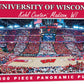 Wisconsin Basketball 1000 Pc