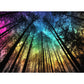 300 Pieces Puzzles For Adults | Aurora Forest Jigsaw Puzzles | Large 300 Piece Puzzle For Children Adults Seniors | Sturdy,Safe | Engaging & Educational Toys Great Gift For Boys Girls 20.5 X 15 In