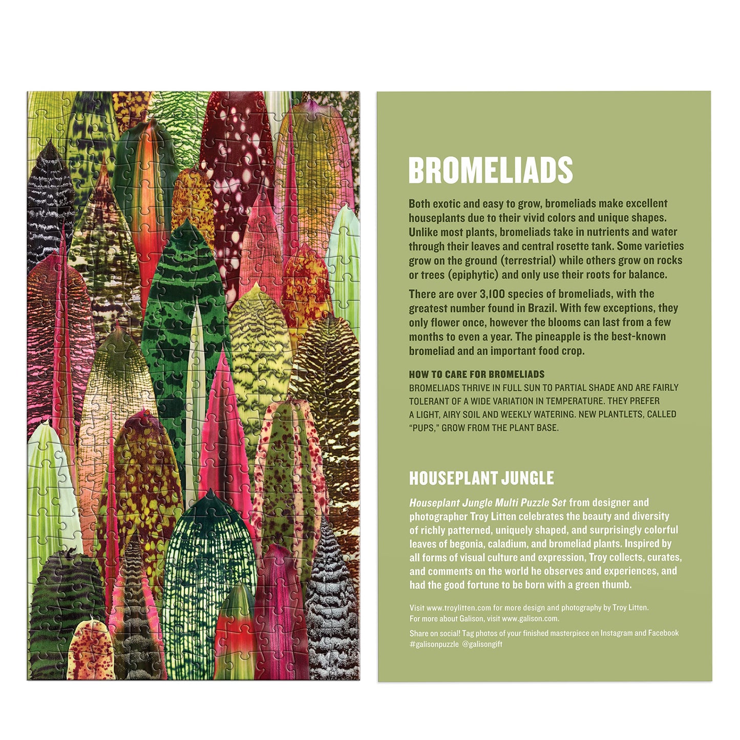 Galison Houseplant Jungle Multi Puzzle Set From Galison - Includes Three 250 Piece Puzzles Featuring Botanical Photographs From