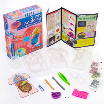 Thames & Kosmos Gross Anatomy Kit - Make Your Own Squishy Human Body Models, 2.5x8.8x11", Plastic, Model 550032