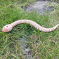 Tipmant Realistic Remote Control Snake Rc Animal Toy Crawling Electric Electronic Battery Powered Honored For Kids Cat Halloween