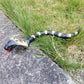 Tipmant Realistic Remote Control Snake Rc Cobra Animal Toy Crawling Electric Electronic Battery Powered Honored For Kids Cat Halloween Christmas Prank Toys Birthday Gifts (Grey)