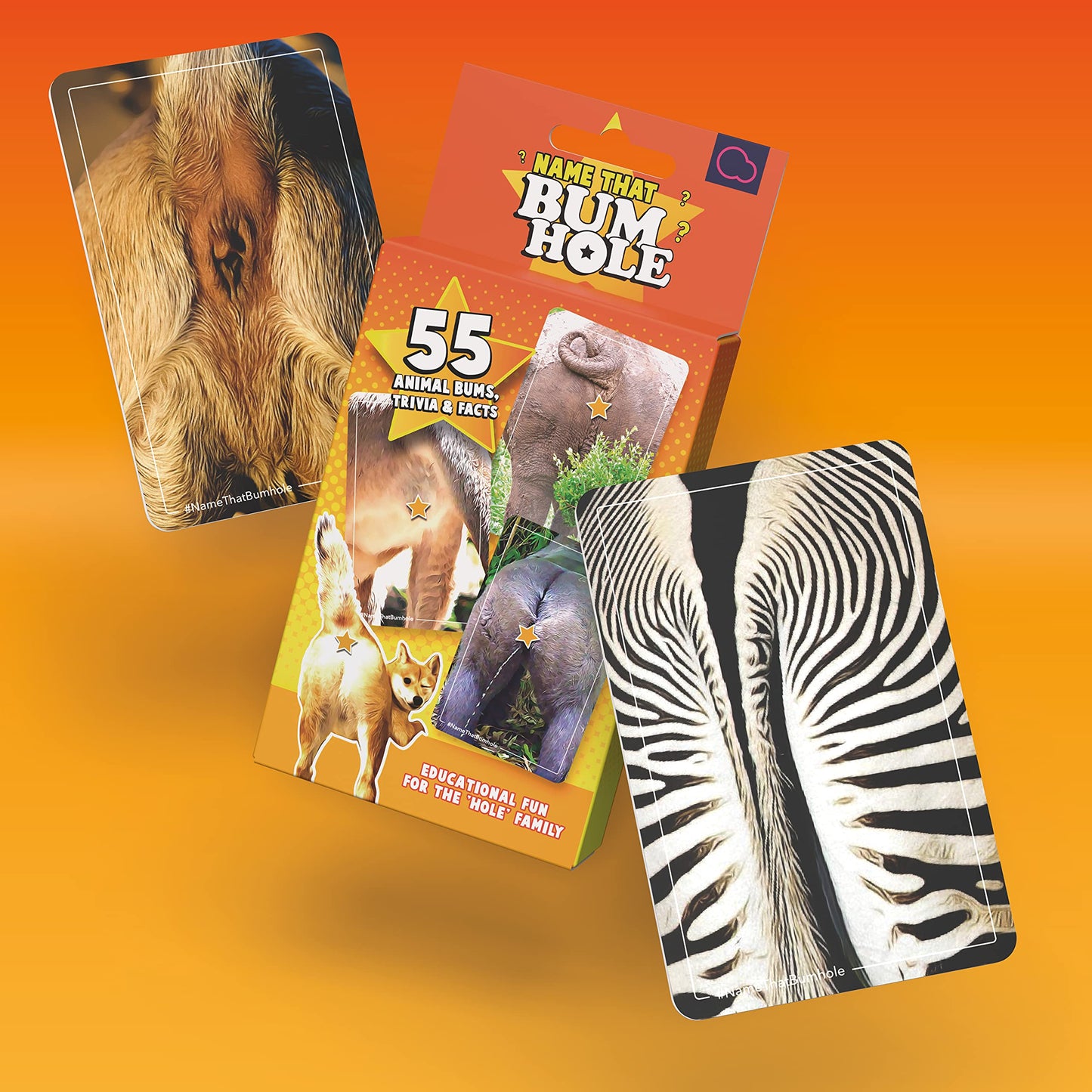 Name That Bumhole - Guess The Animals From Their Bumholes - Animal Trivia Game - 55 Flashcards 4.9''X3.2'' (12.5X8.1Cm)