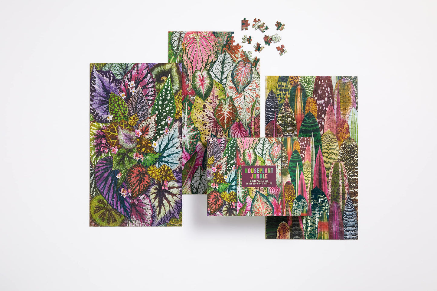 Galison Houseplant Jungle Multi Puzzle Set From Galison - Includes Three 250 Piece Puzzles Featuring Botanical Photographs From