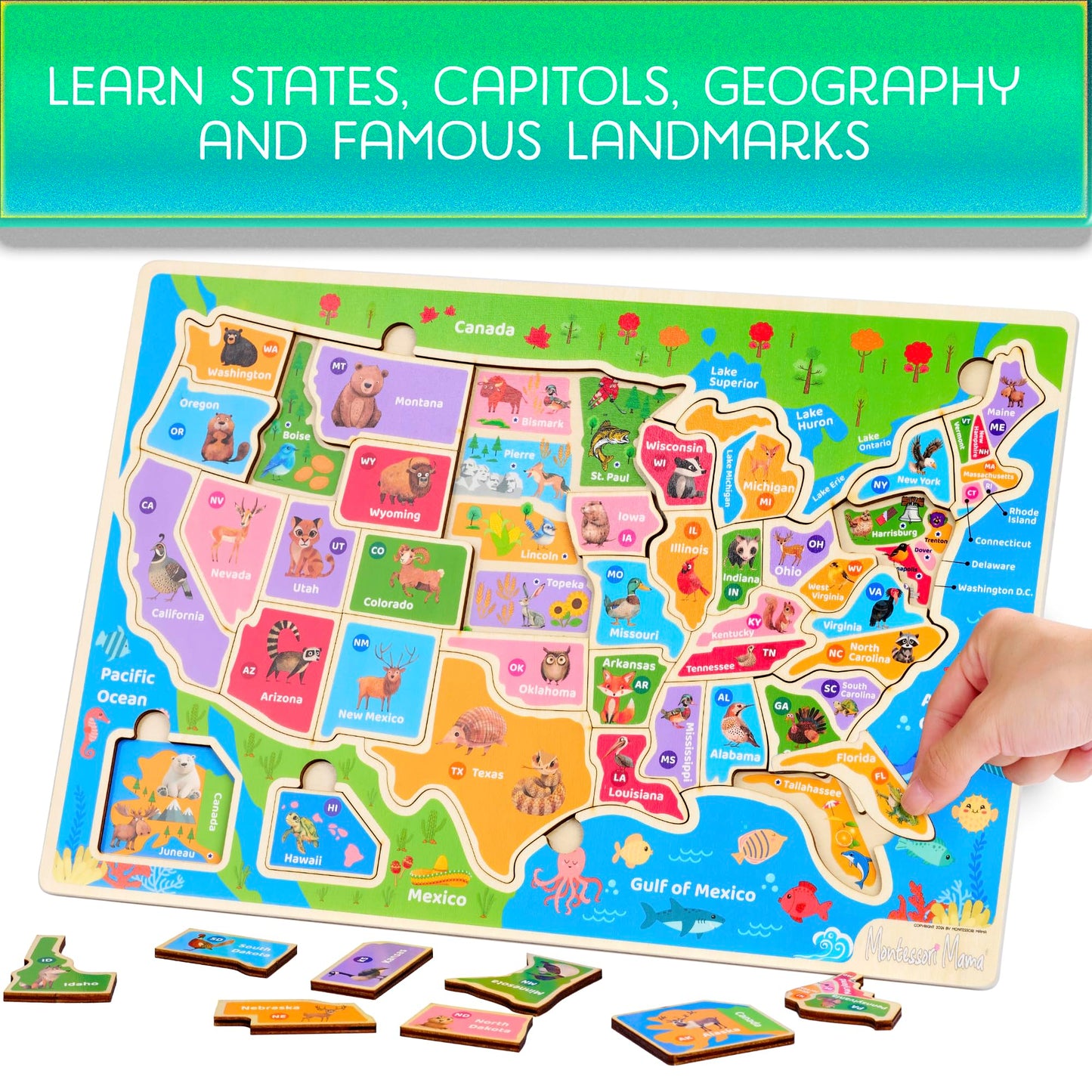 Montessori Mama USA Map Puzzle & World Continents Puzzle - Educational Wooden Toy for Kids, Engaging Learning Activity