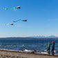 Pocket Flyer Single Line Kite Electric - Ready For Flight Wherever Adventure Takes You