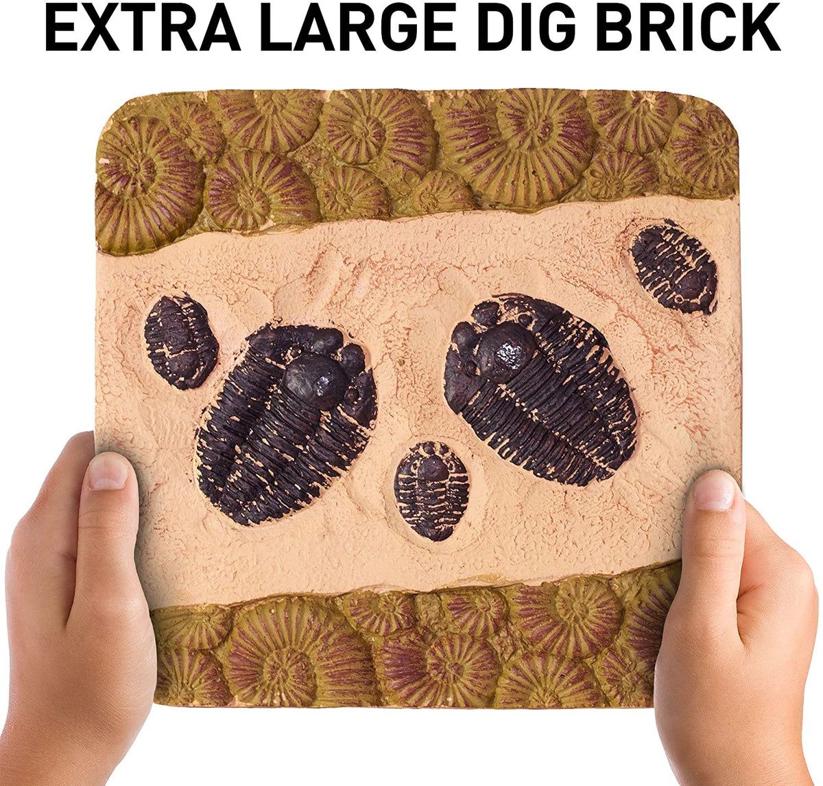 Young Paleontologists Mine