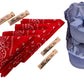 Children'S Train Conductor Dress Up - Hat, Whistle, And Bandana (4 Sets)