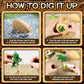 Uregoio 24 Dinosaur Eggs Dig Kit Toys For Kids, Dinosaur Eggs Excavation Kit With Magnifier & Newspaper, Science Stem Christmas
